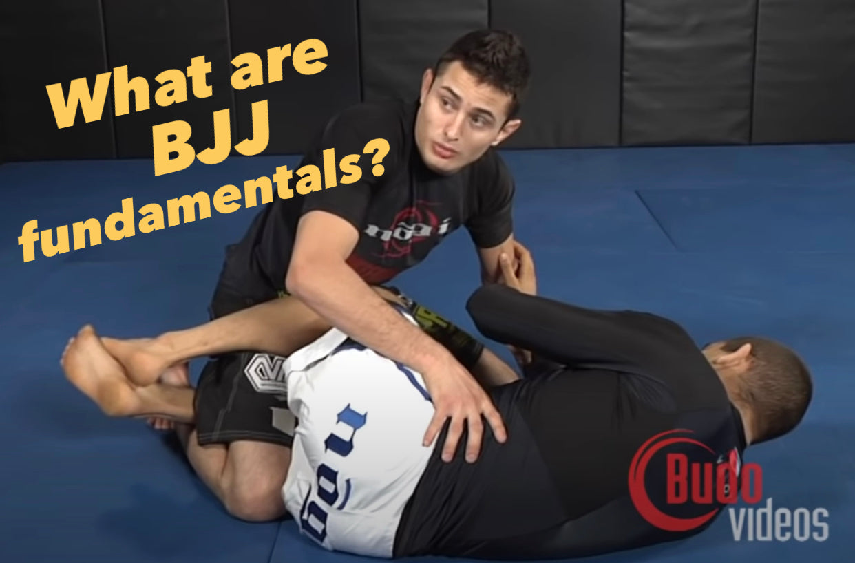 The Quest to Define BJJ Fundamentals by Budo Jake