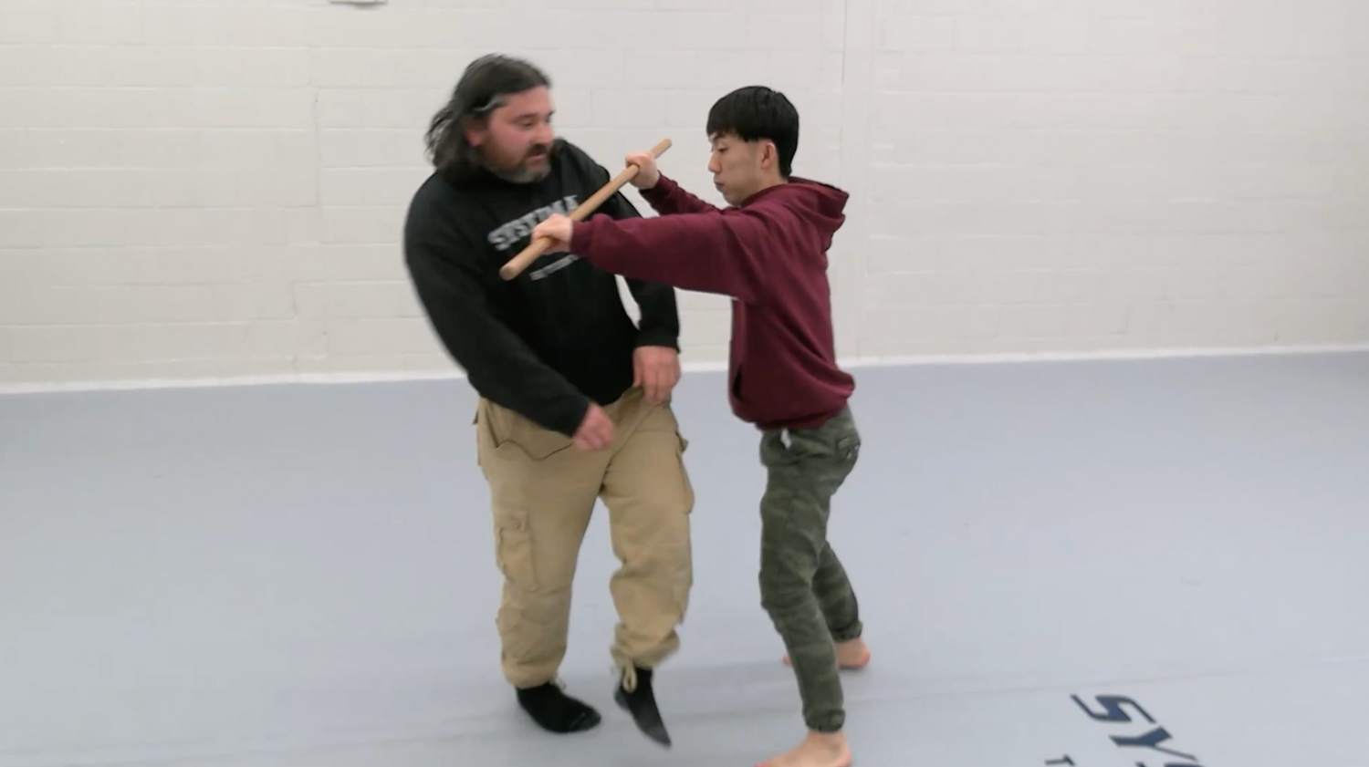 Systema: Body Power DVD by Adam Zettler