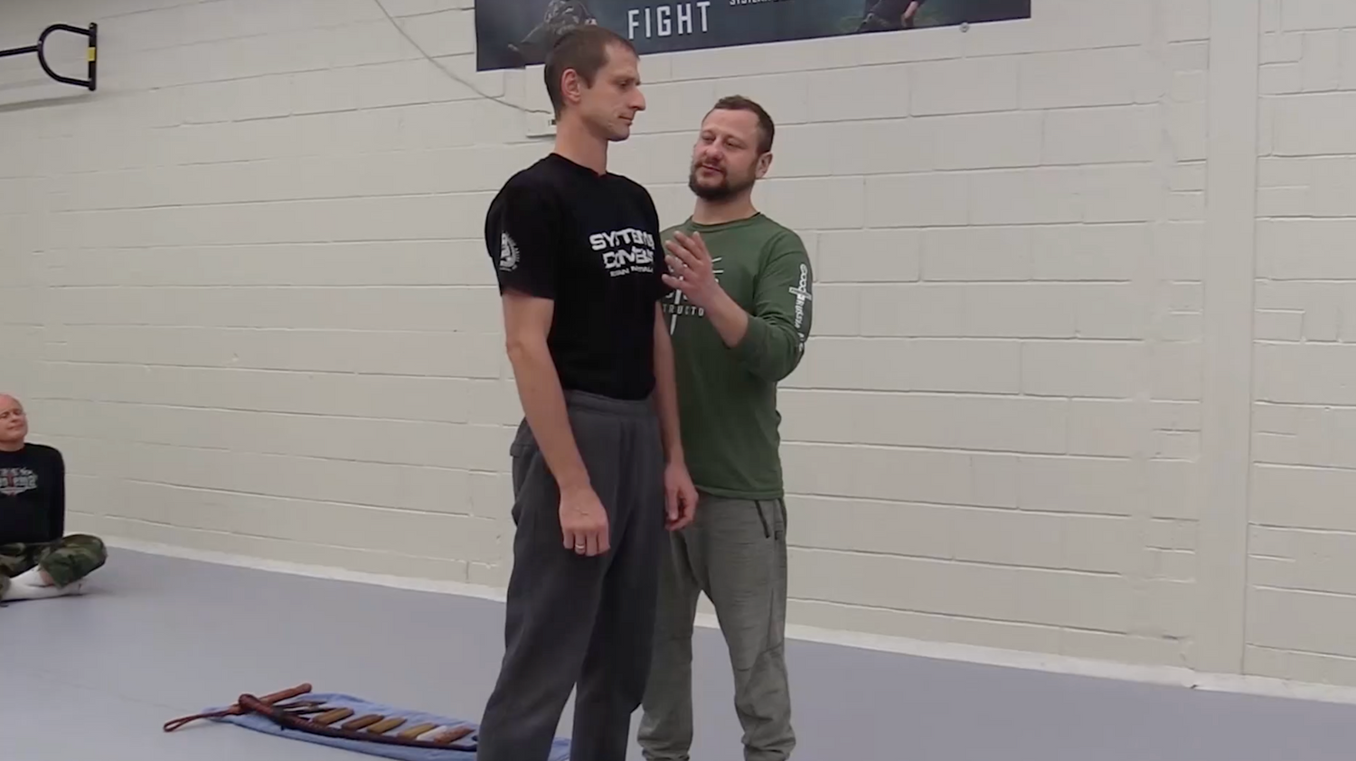 Systema: The Healing Pressure DVD by Daniil Ryabko