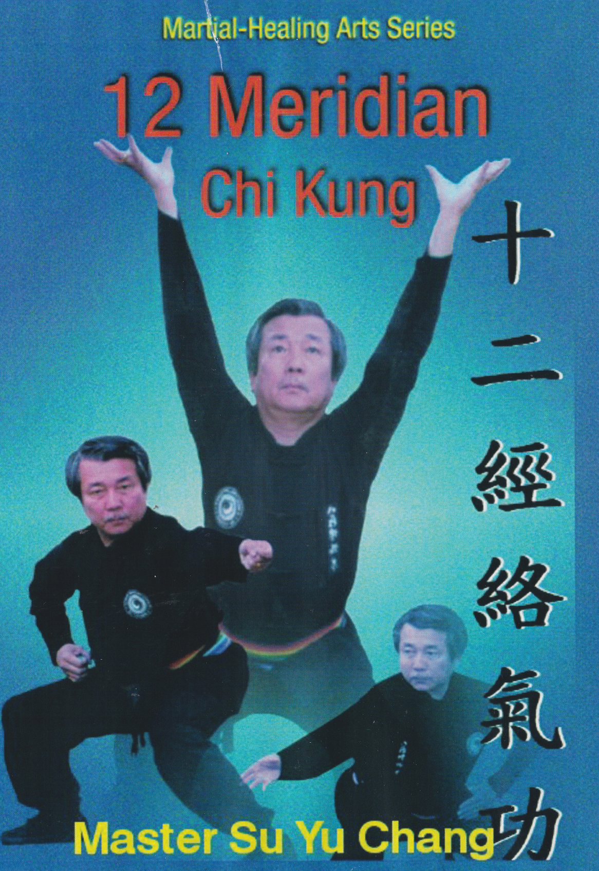12 Meridian Chi Kung DVD by Su Yuchang (Preowned)