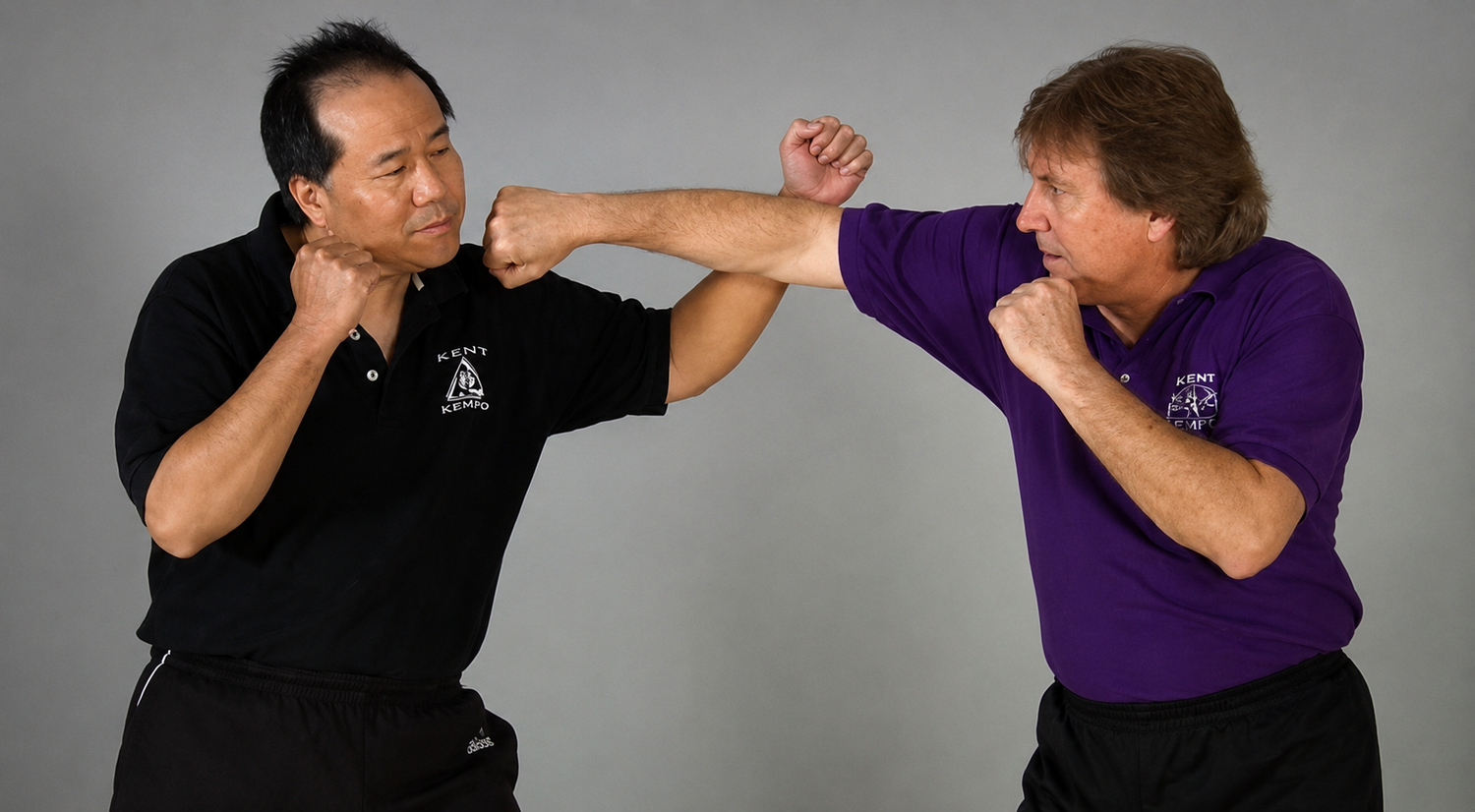 Masterclass Jeet Kune Do 3 DVD Set by Chris Kent