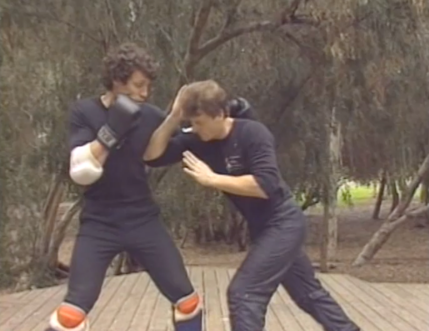 Jeet Kune Do 7 Vol Series by Paul Vunak (On Demand)