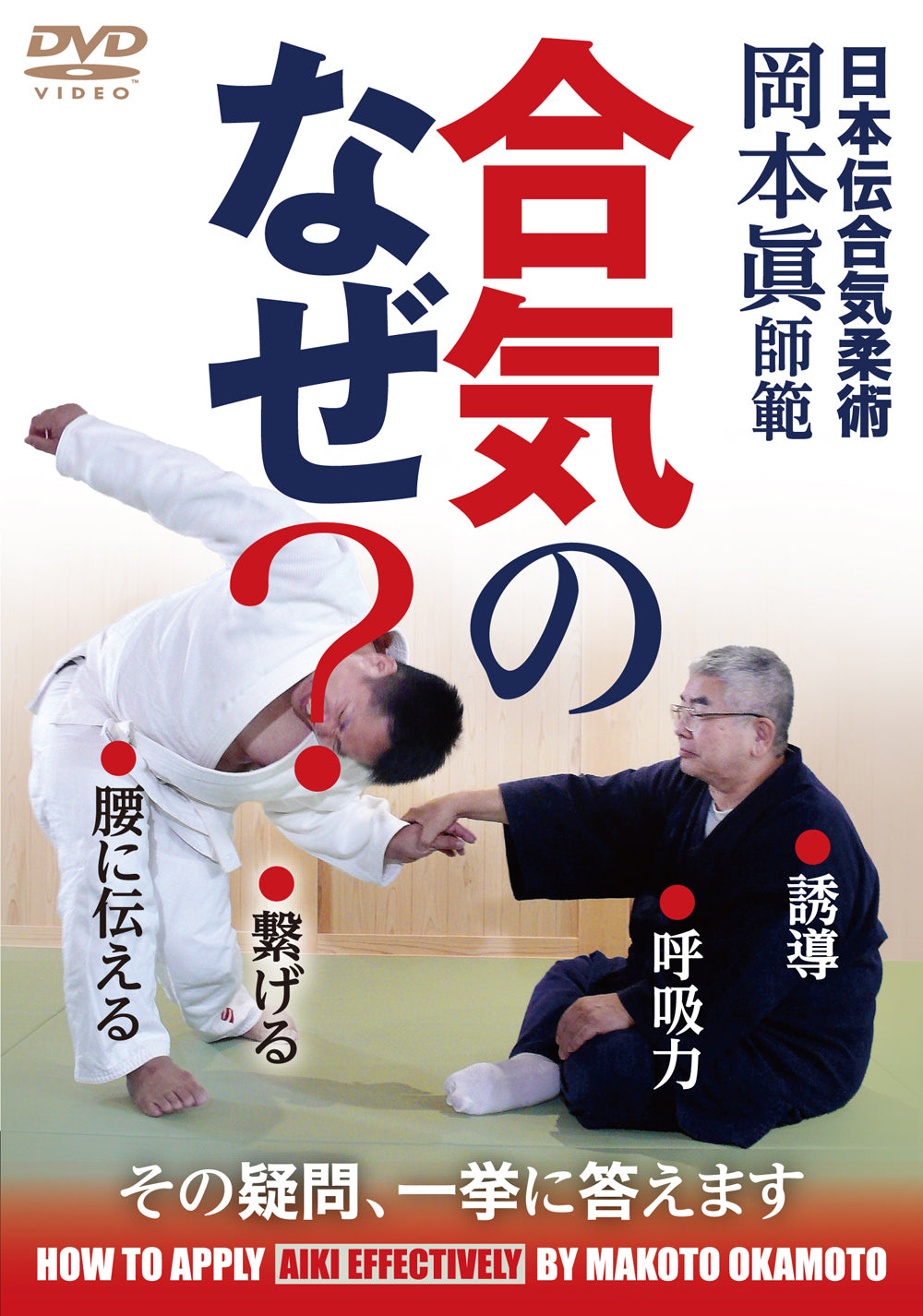 The Why of Aiki DVD by Makoto Okamoto