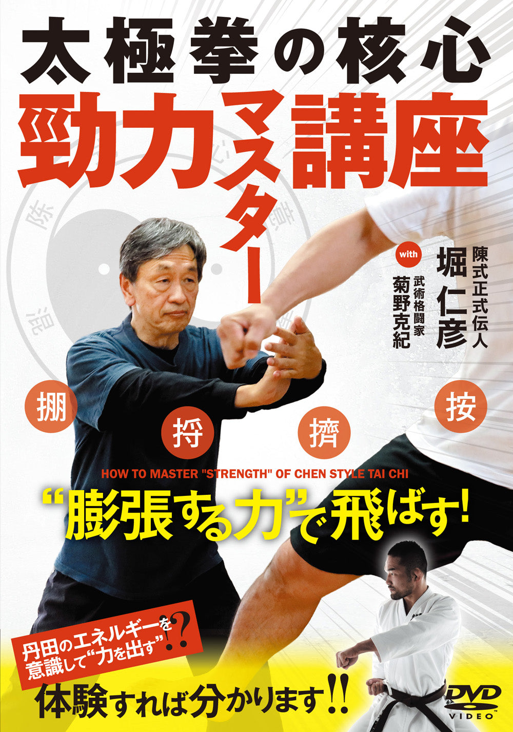How to Master Chen Style Tai Chi DVD by Hoshihiko Hori