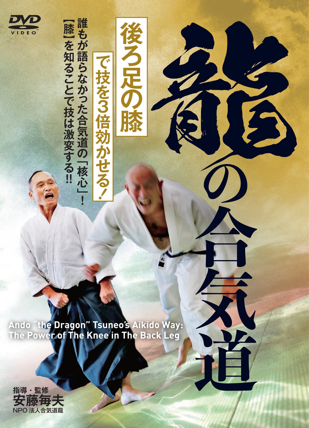 Dragon Aikido: The Power of the Knee in the Back Leg DVD by Tsuneo Ando