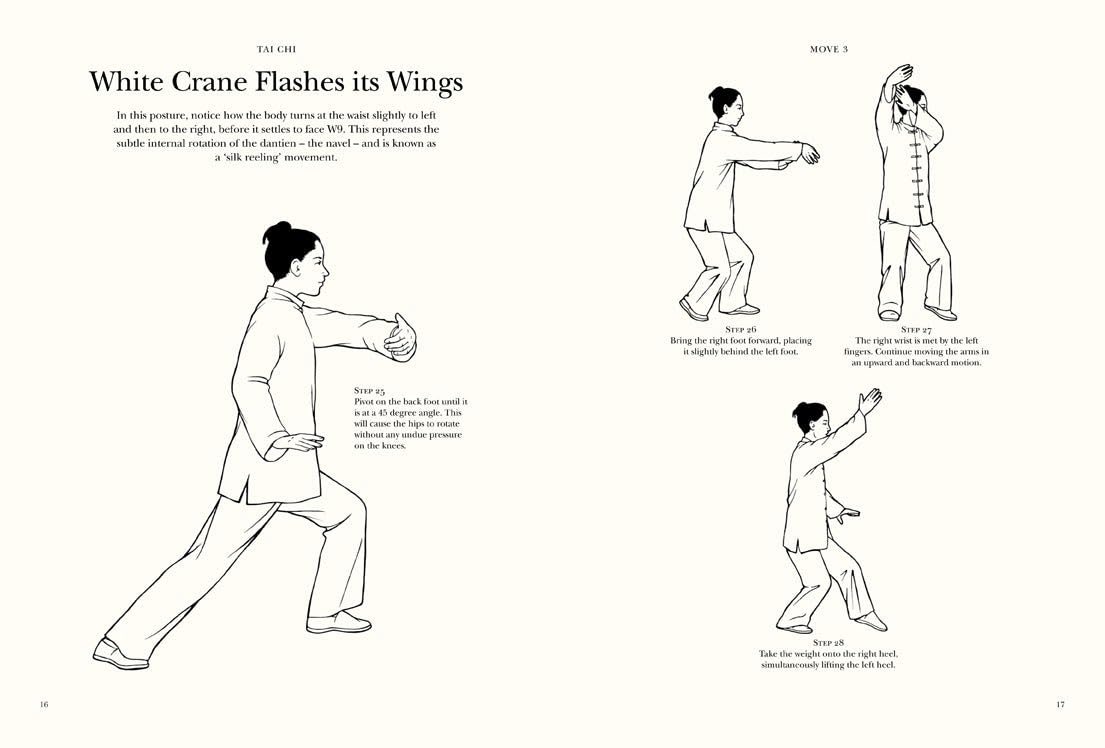 Tai Chi: Learn the Ancient Chinese Martial Art of Tai Chi (Chinese Bound Classics) Book by Birinder Tember