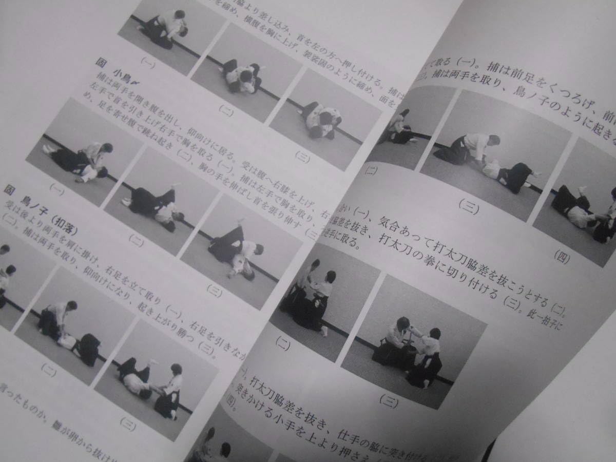 Exploring Historical Sites of Martial Arts Book by Emi Yoshimoto & Jun Osano (Preowned)