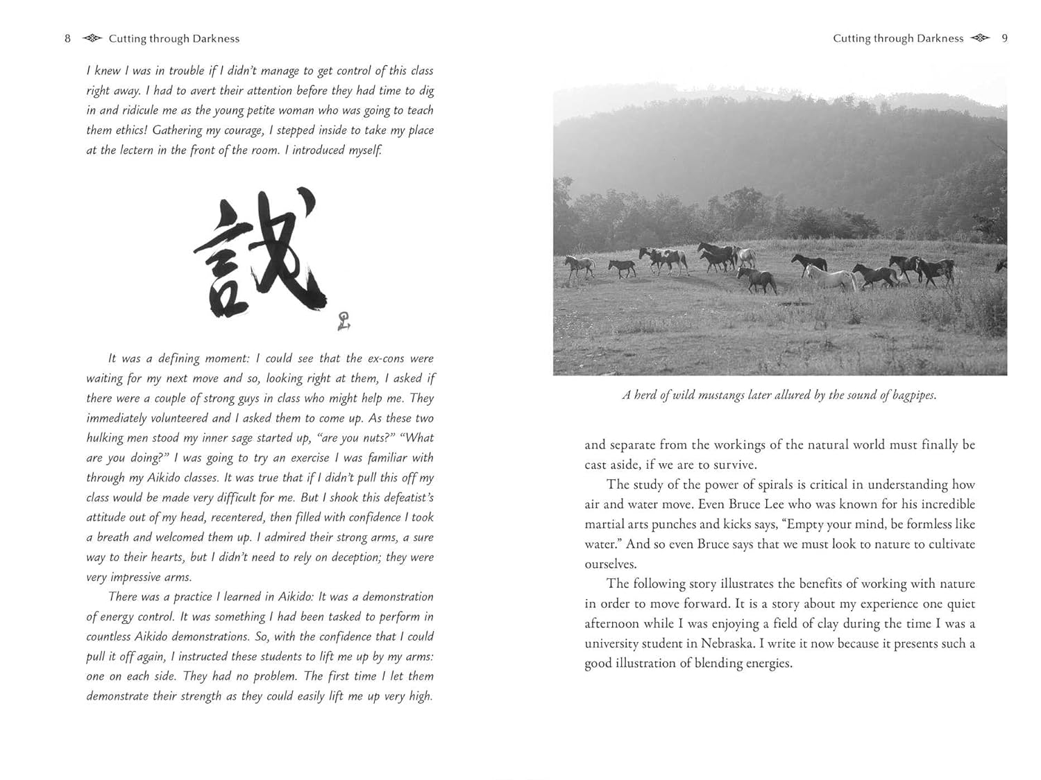 The Hidden Power of Aikido: Transcending Conflict and Cultivating Inner Peace Book by Susan Perry