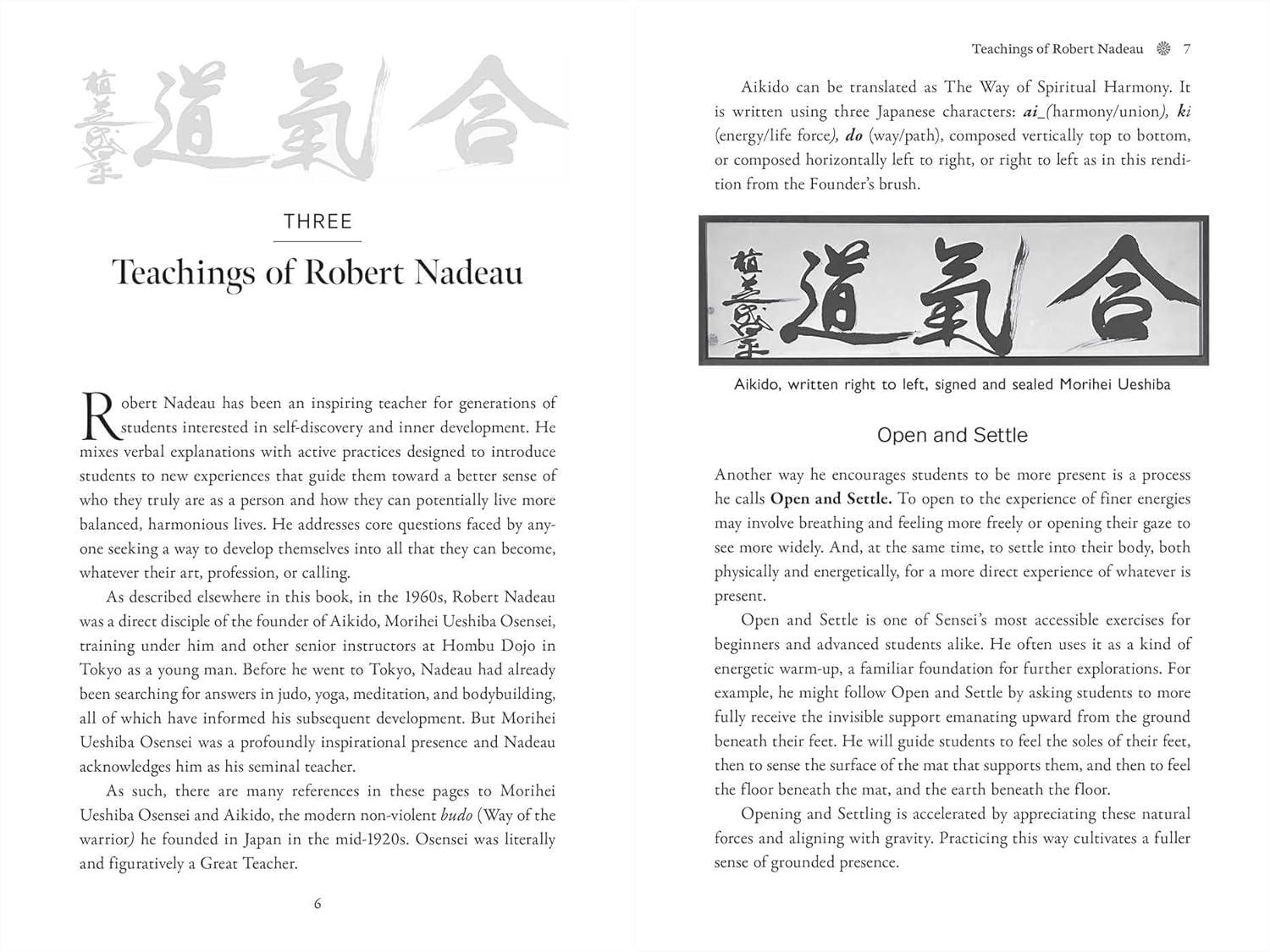 Aikido: The Art of Transformation: The Life and Teachings of Robert Nadeau Book