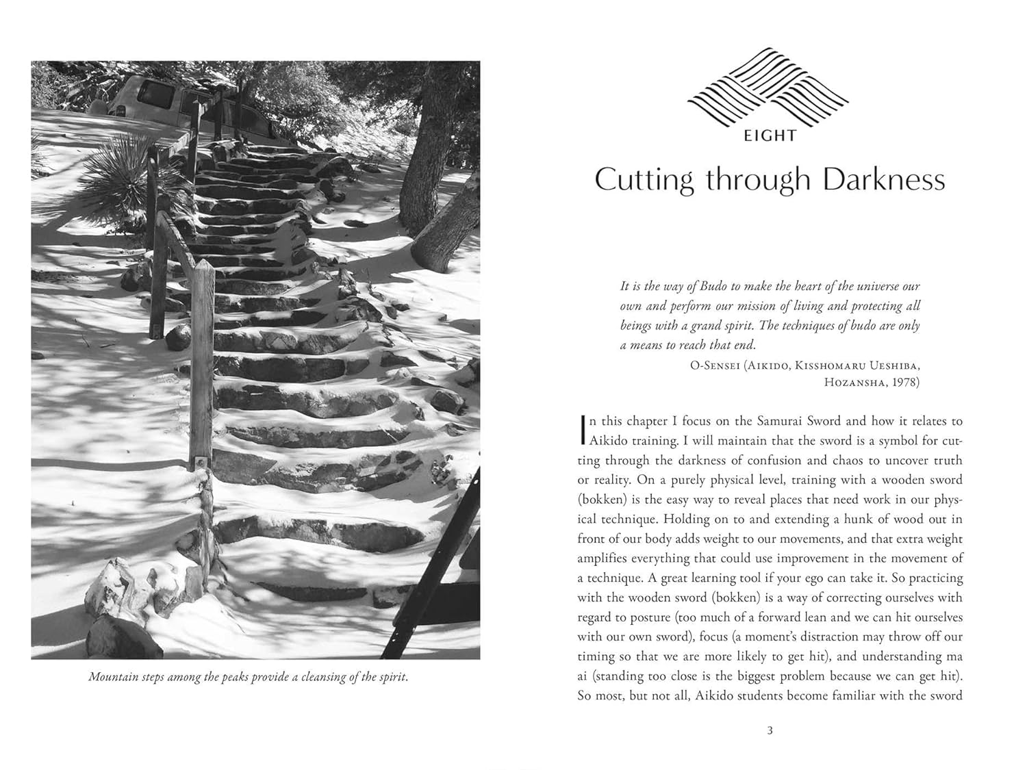 The Hidden Power of Aikido: Transcending Conflict and Cultivating Inner Peace Book by Susan Perry