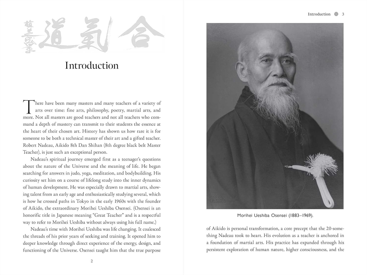 Aikido: The Art of Transformation: The Life and Teachings of Robert Nadeau Book