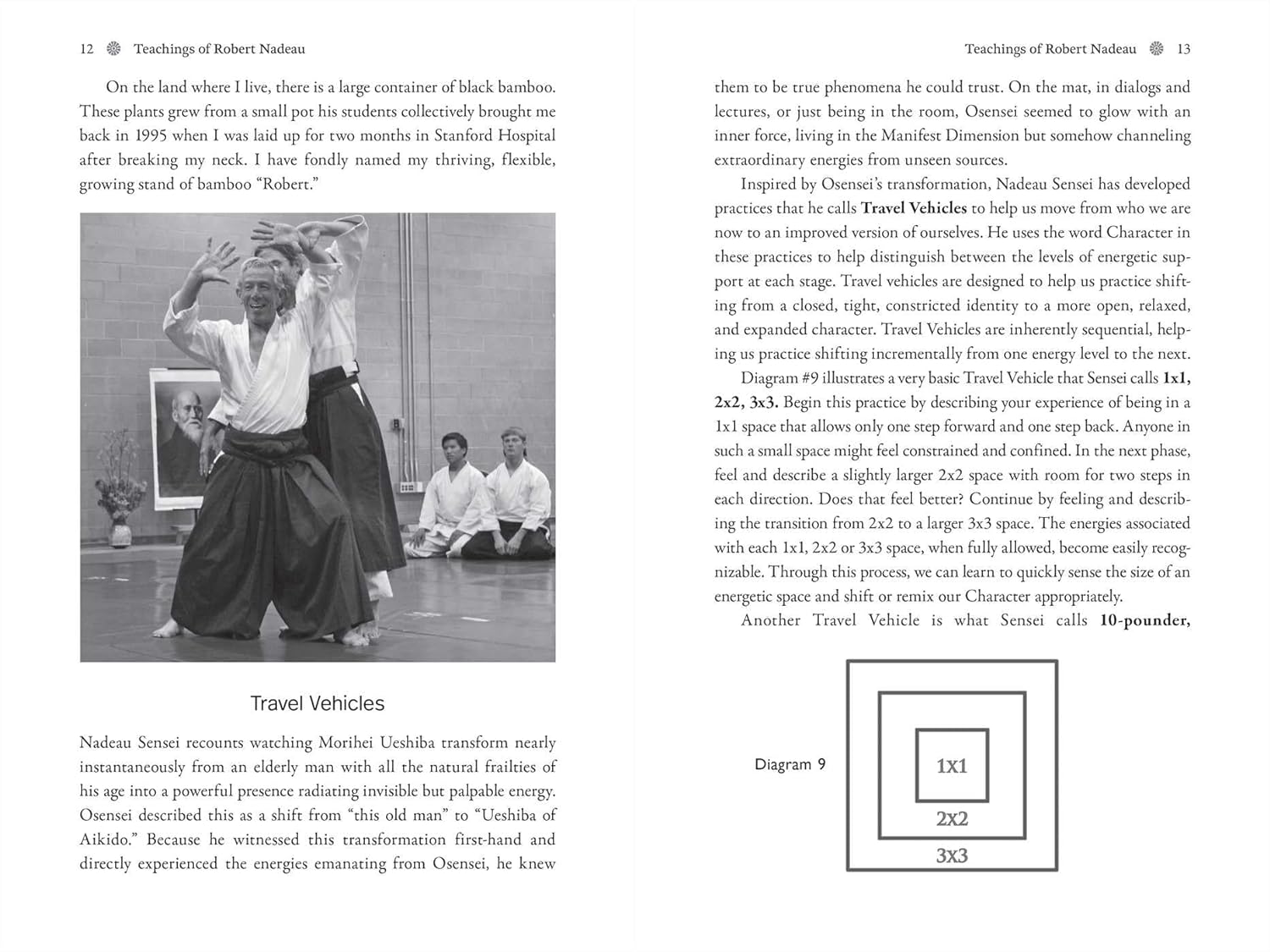 Aikido: The Art of Transformation: The Life and Teachings of Robert Nadeau Book