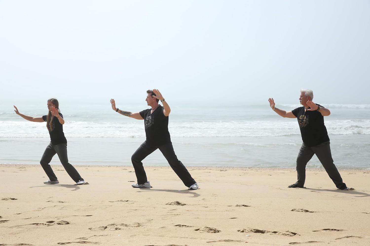 Tai Chi Fit To Go DVD with David-Dorian Ross