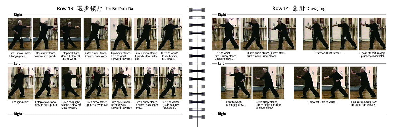 LIN KUEN: The Mother Form of the Eagle Claw System Book by Shum Leung (Preowned)