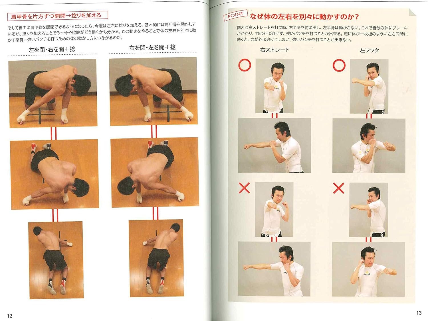 The Latest Boxing Techniques Easy To Understand Book & DVD by Joji Nogi