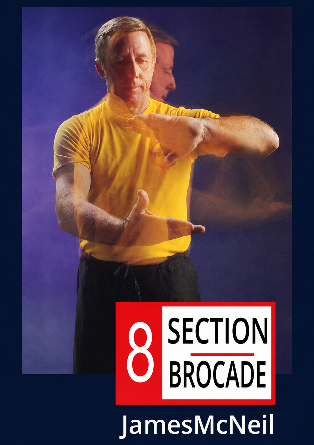 8 Section Brocade DVD by James McNeil
