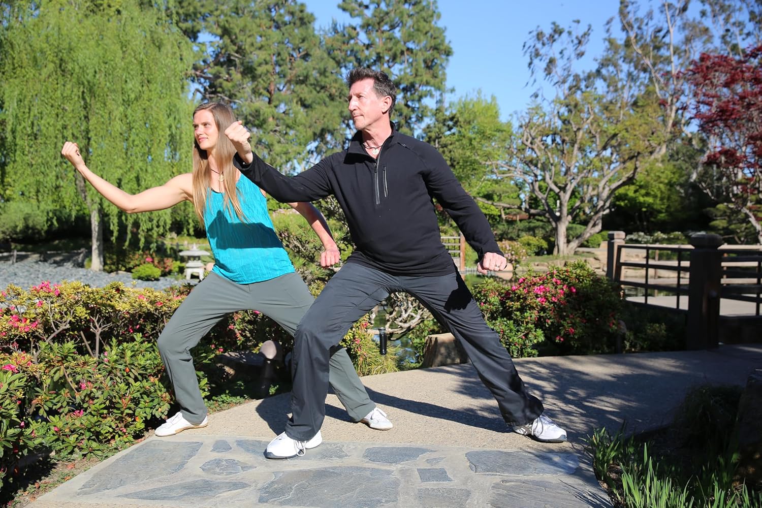 Tai Chi Fit To Go DVD with David-Dorian Ross