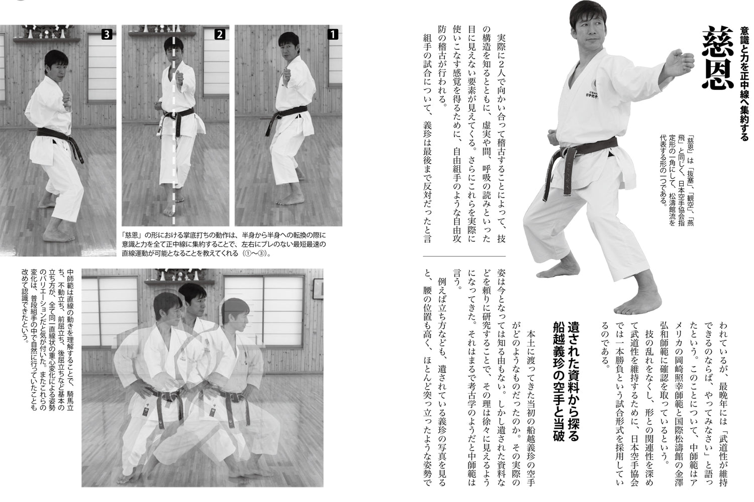 The Essence of the Four Major Karate Schools Book
