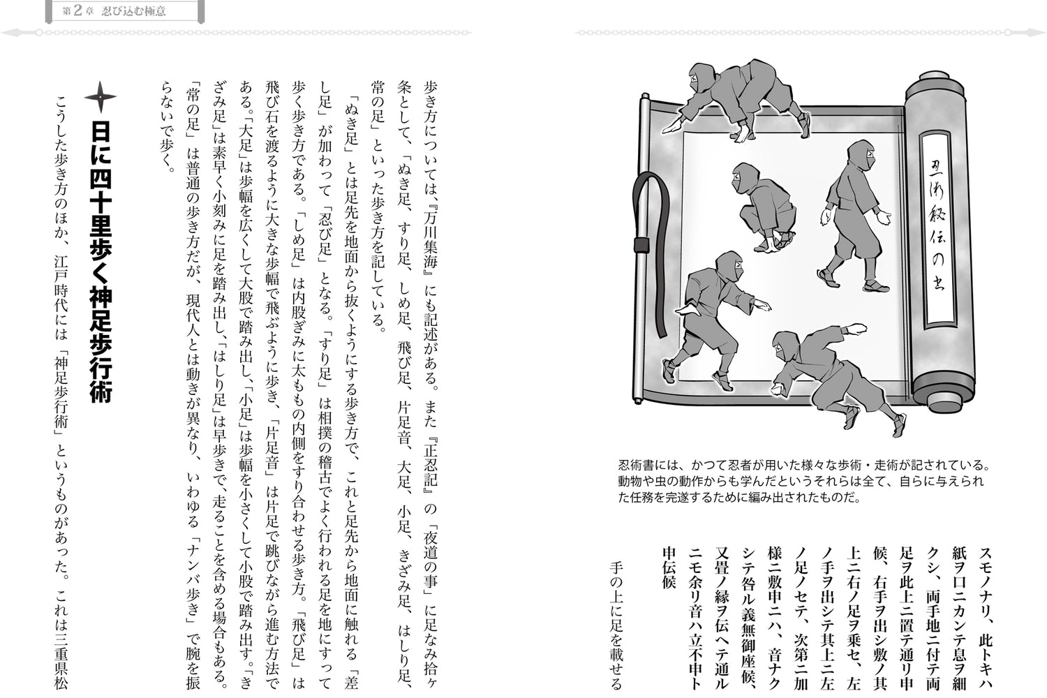 Practical Ninjutsu Manual Book by Yuji Yamada