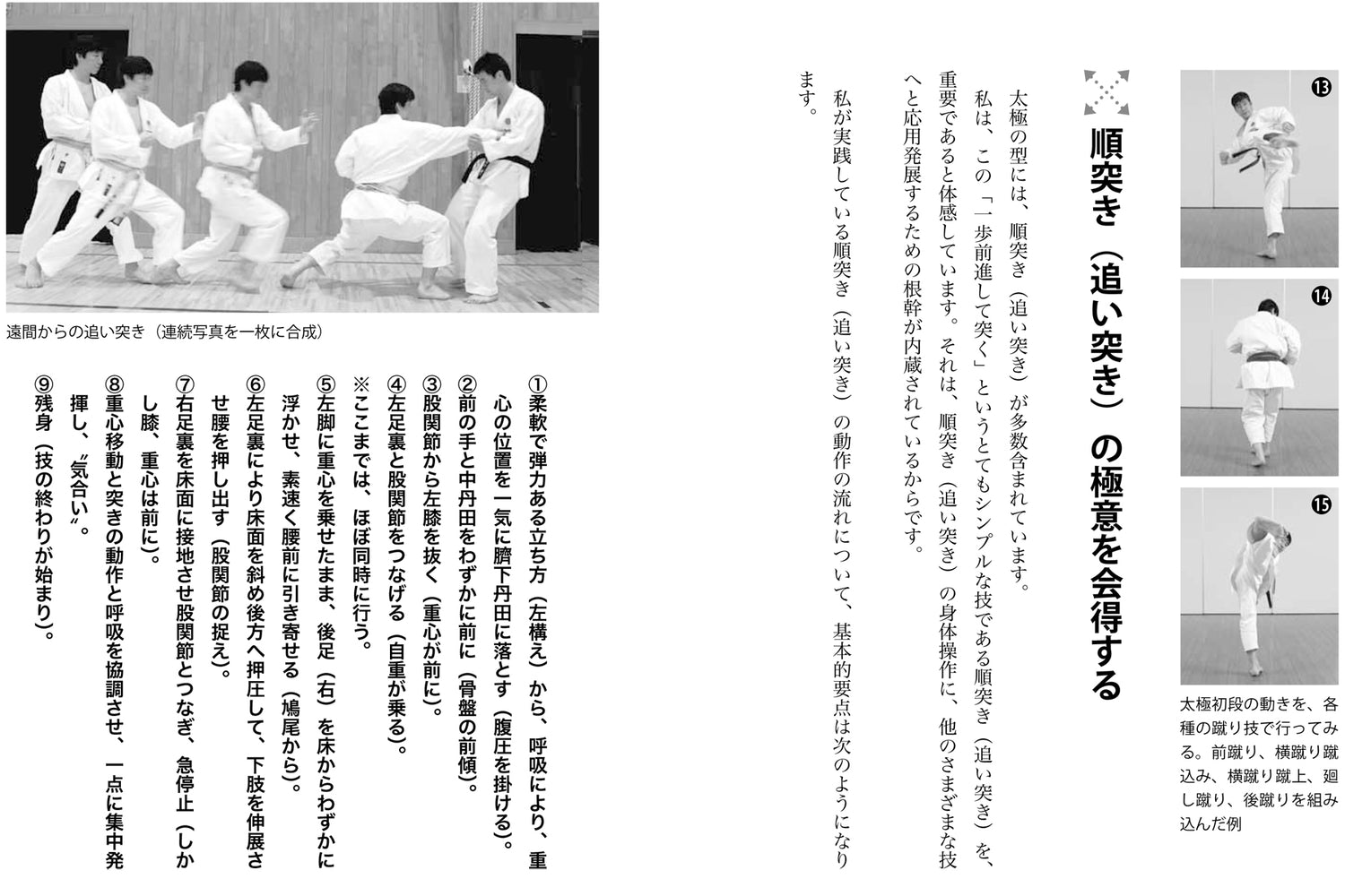 The Origins of Karate Book by Tatsuya Naka