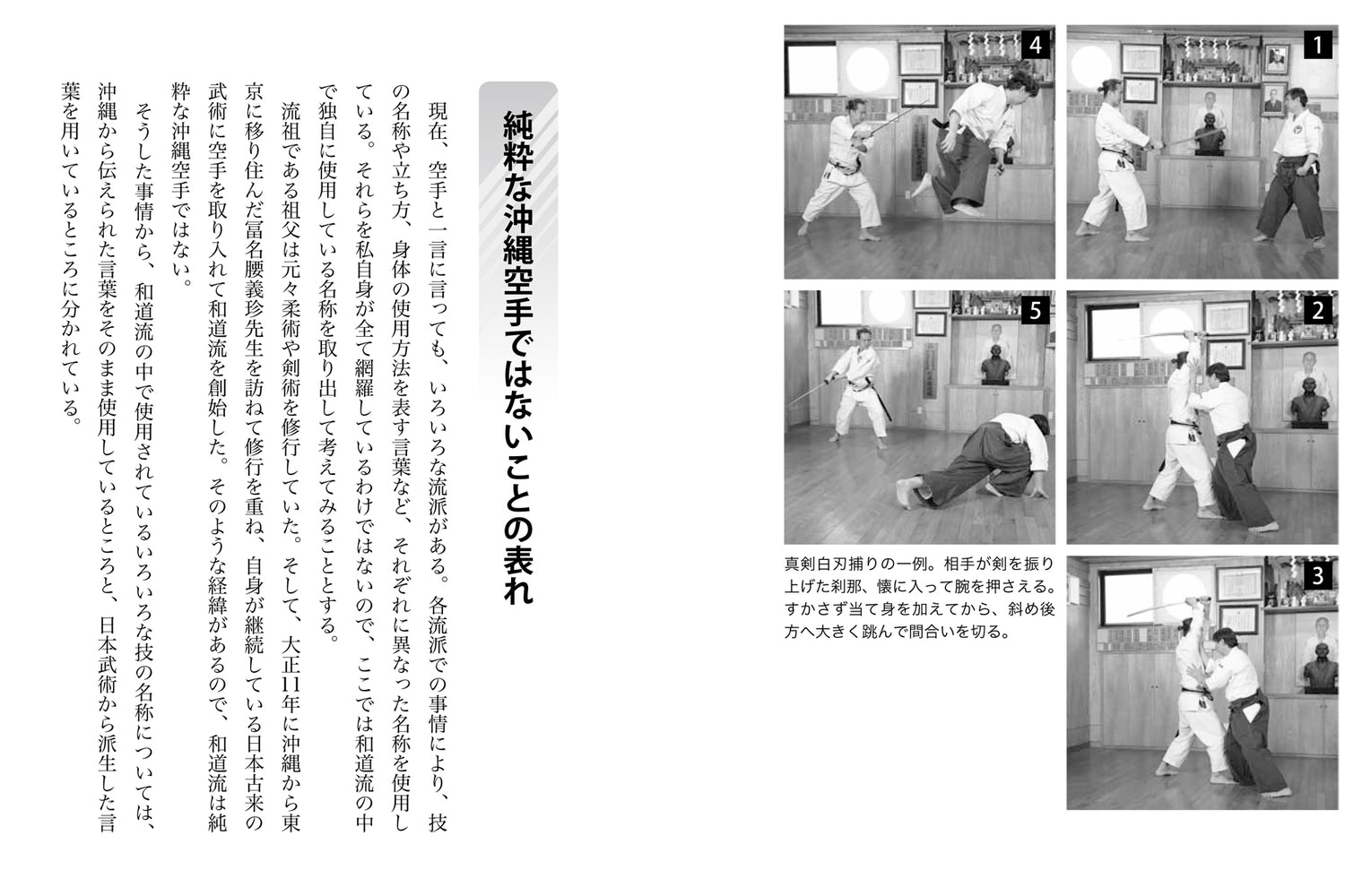 Master Wado Ryu Karate Book by Hironori Otsuka