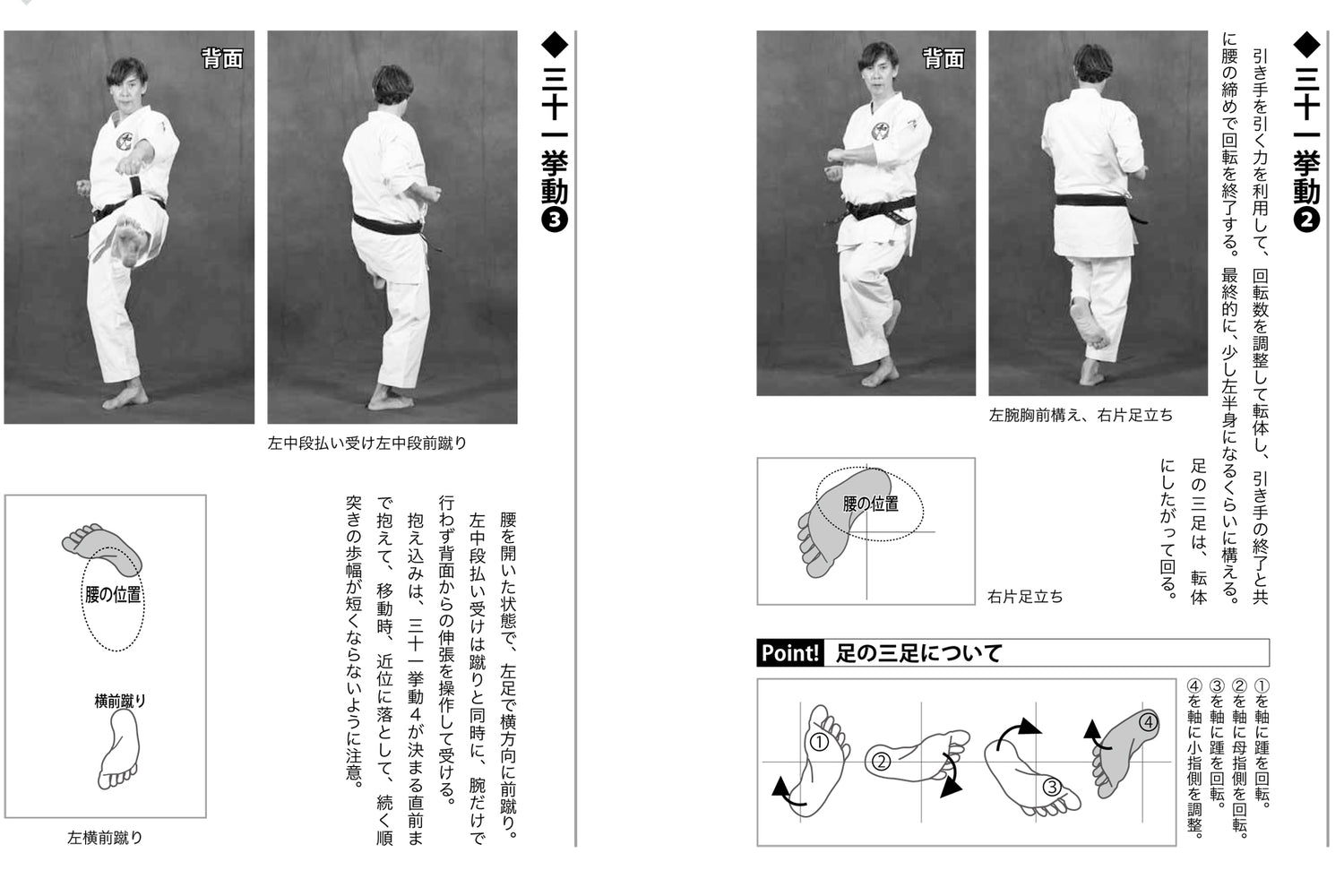 Mastering Martial Arts: The Path of Wado Ryu Karate-Do Book by Hironori Otsuka