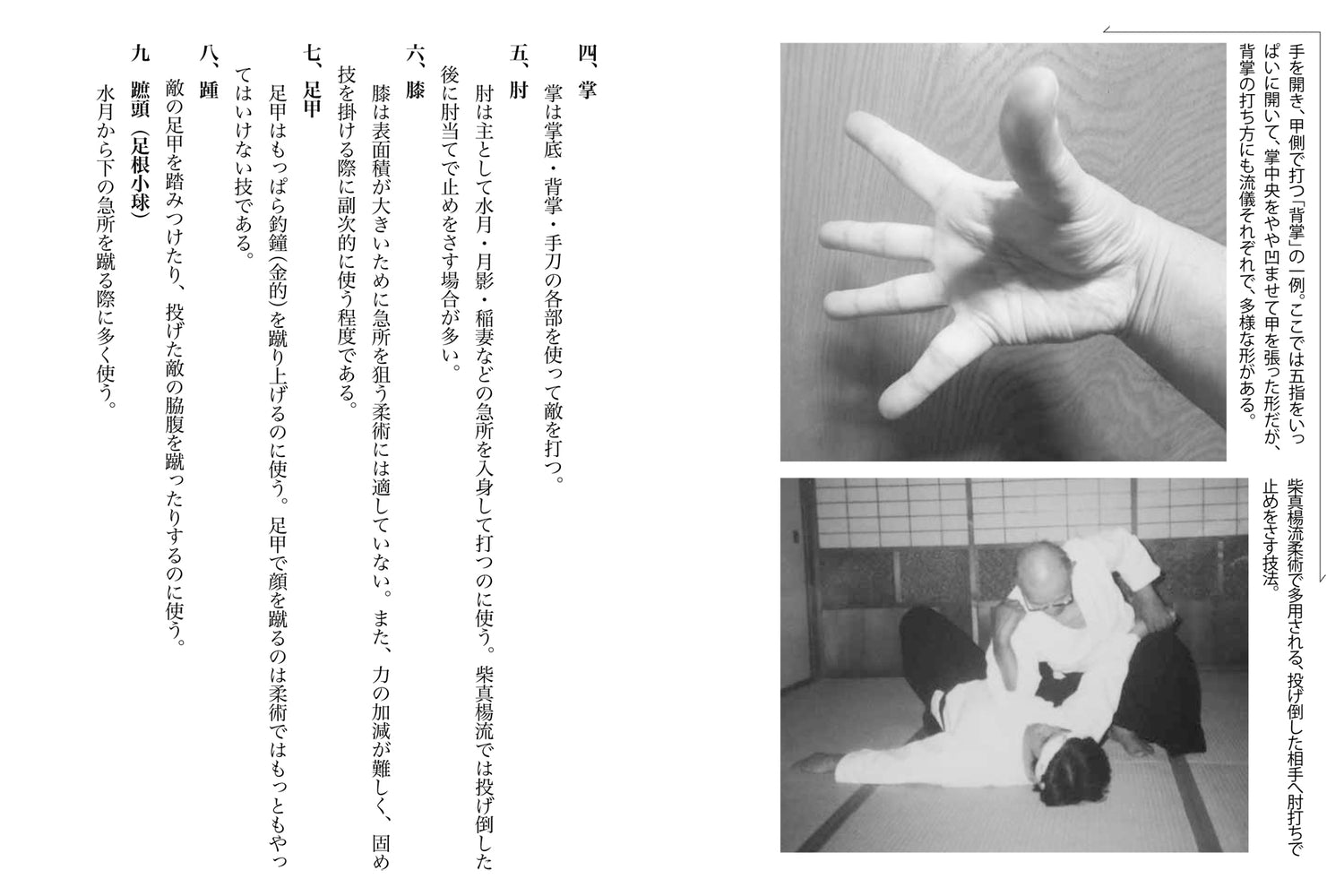 The Secrets of Striking to Kill or Revive Book by Jun Osano