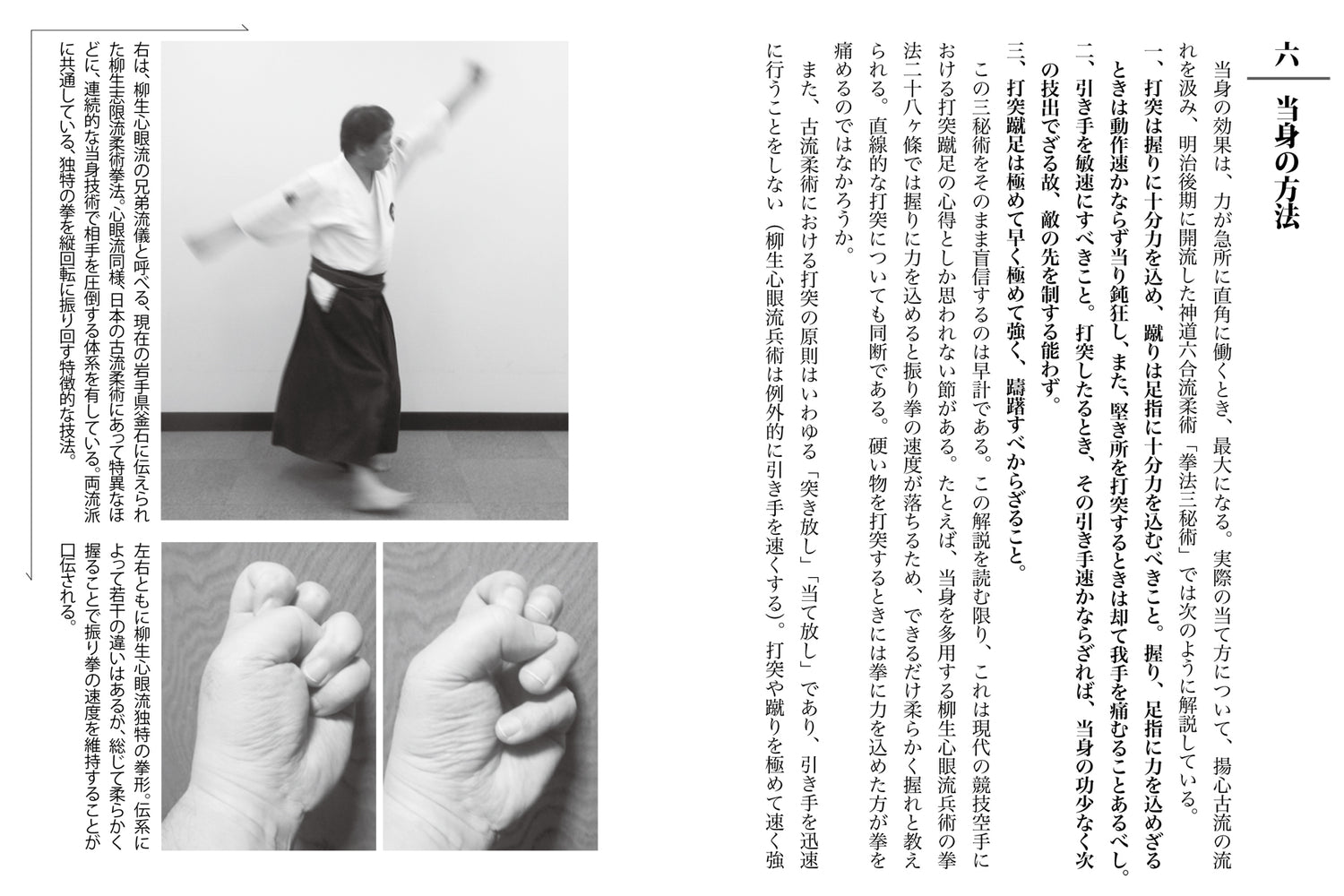 The Secrets of Striking to Kill or Revive Book by Jun Osano