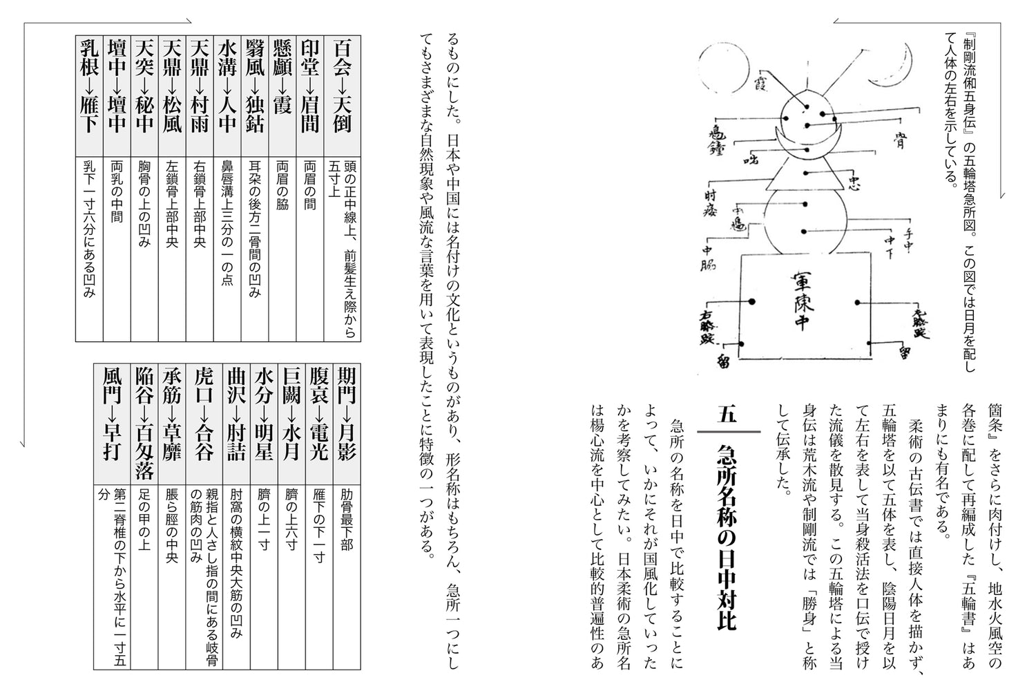 The Secrets of Striking to Kill or Revive Book by Jun Osano