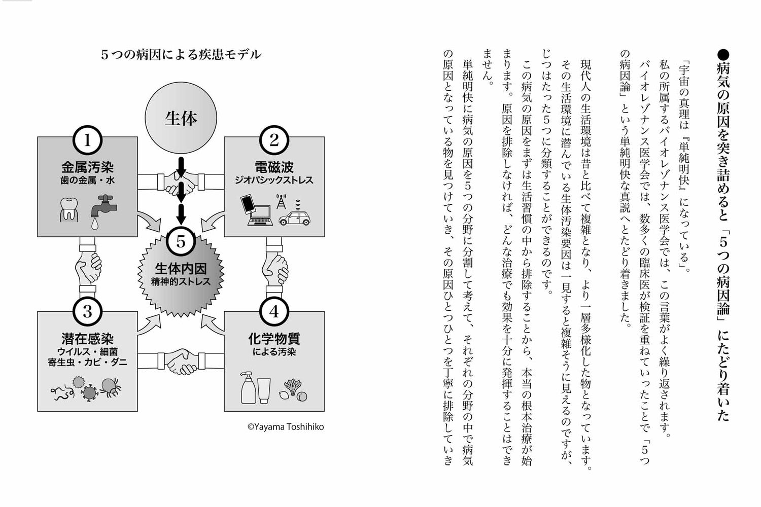 The Medicine of Ki Book by Kazuhiro Mizuashi