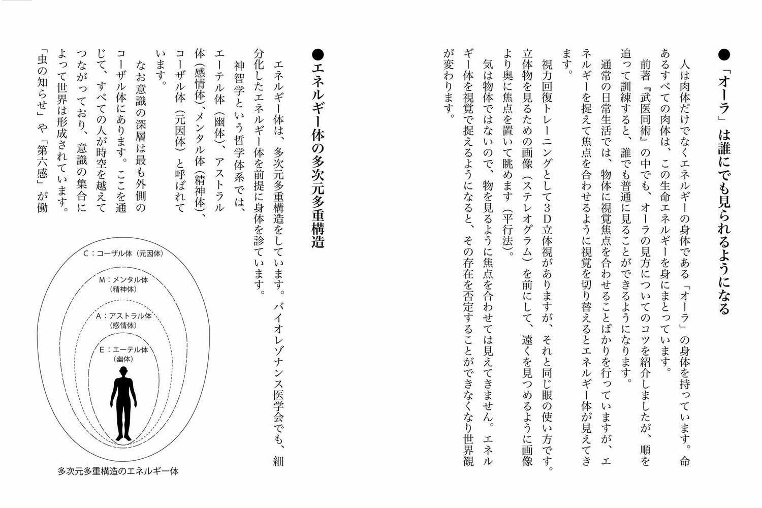 The Medicine of Ki Book by Kazuhiro Mizuashi