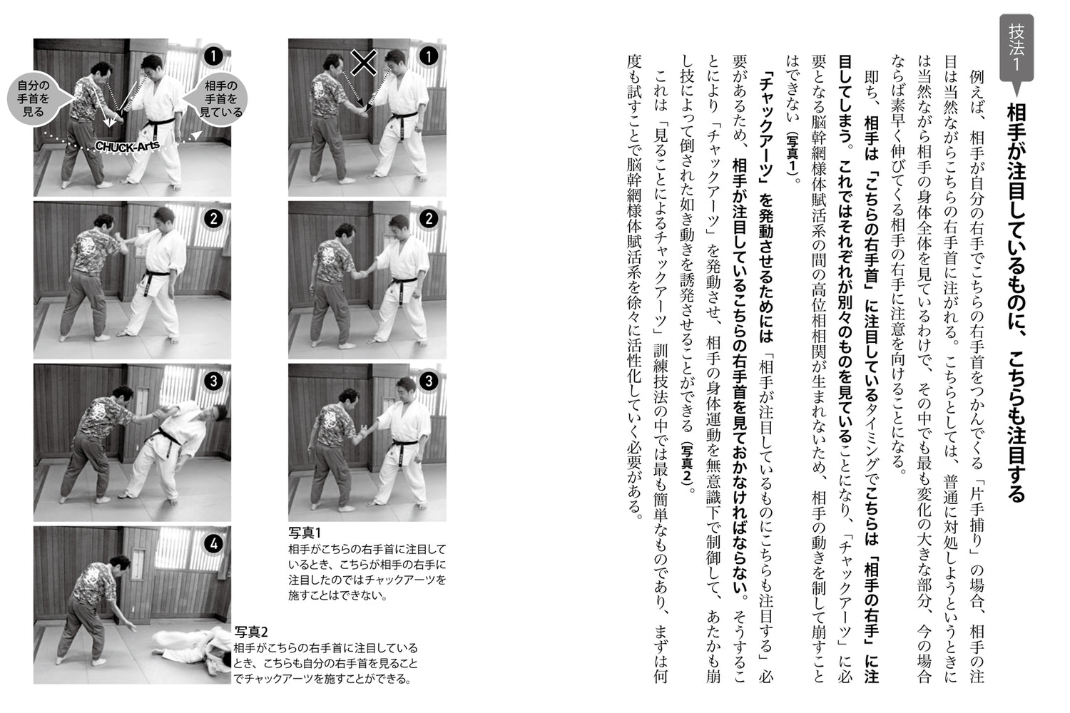 Chuck Arts: The Master’s Aiki is Brain Power Book by Yasue Kunio