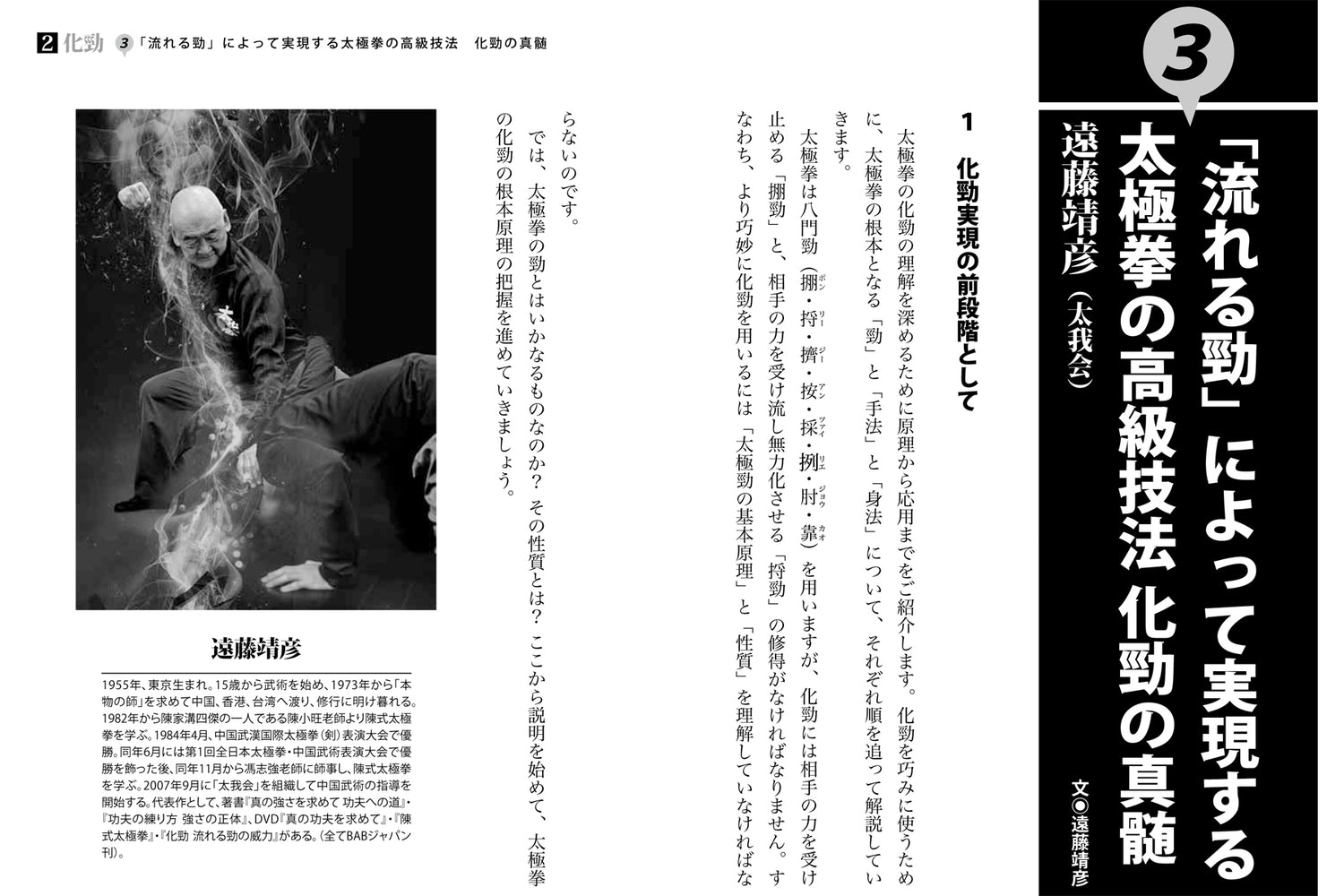 Chinese Martial Arts Are Strong Book