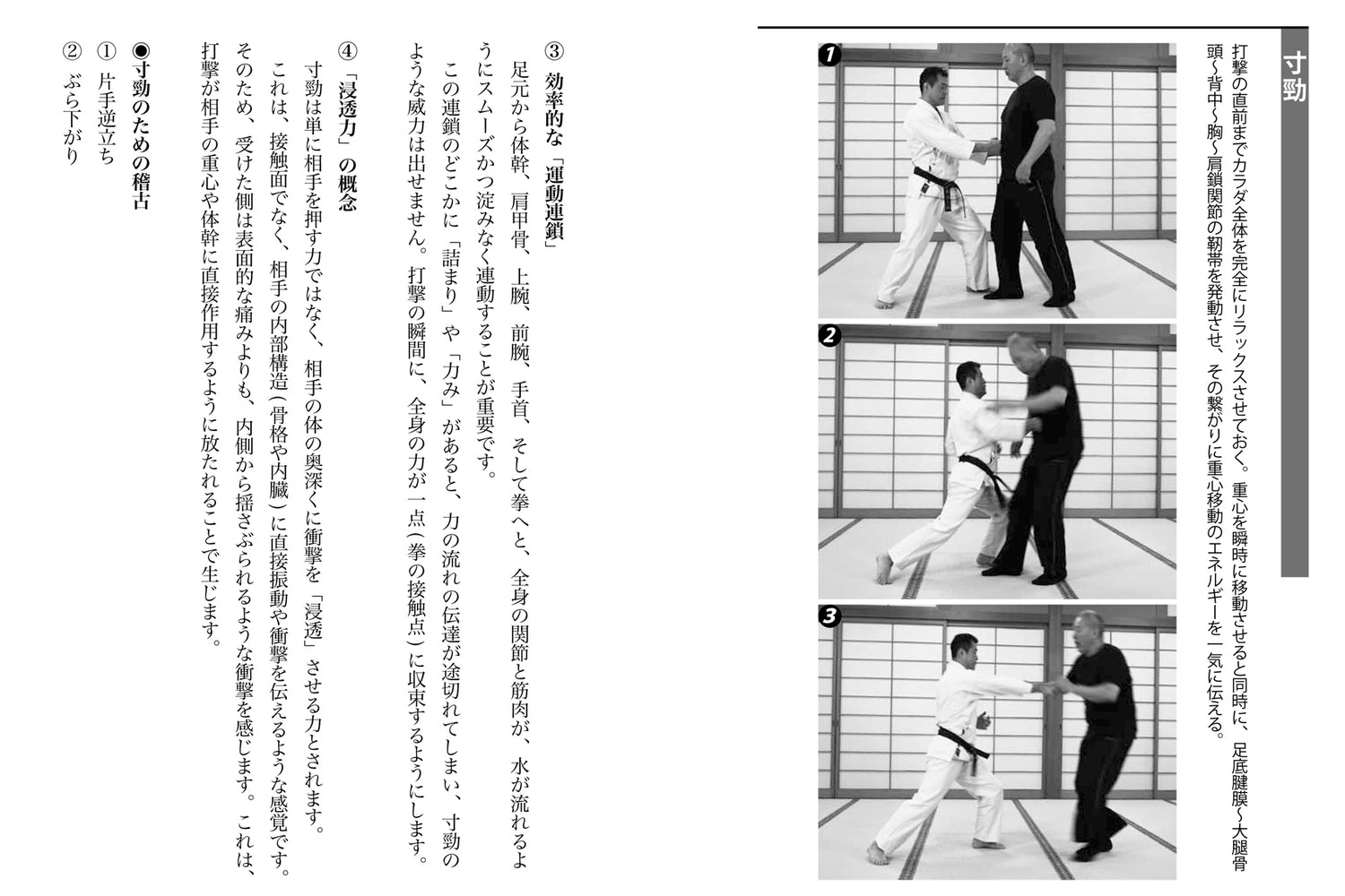 Flexibility Training for Martial Arts and Combat Sports Book by Hisanori Kato