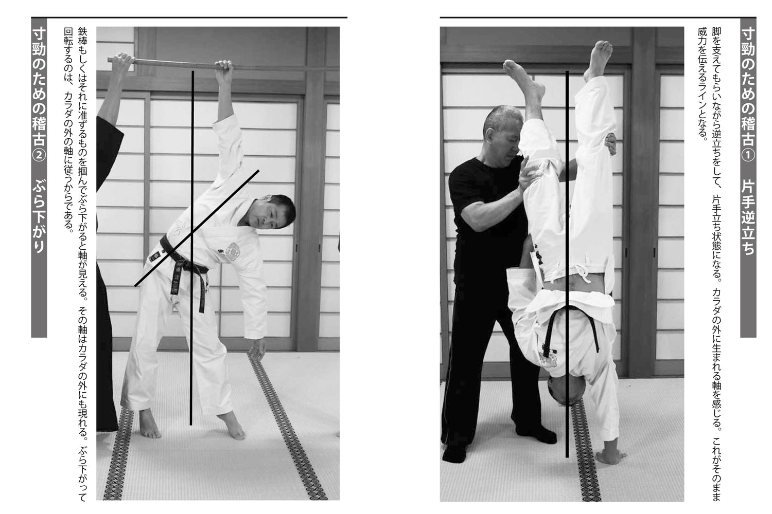 Flexibility Training for Martial Arts and Combat Sports Book by Hisanori Kato
