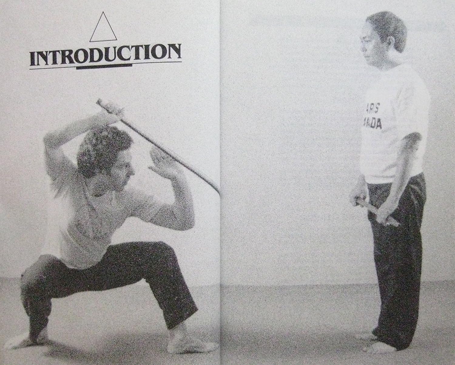 Arnis Lanada Book by Amante Marinas (Preowned)
