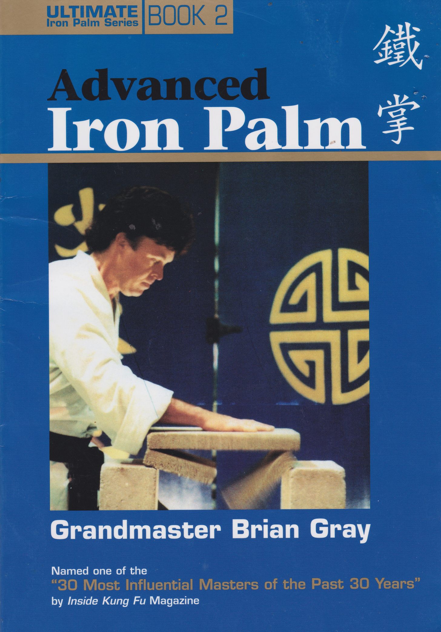 Advanced Iron Palm Book by Brian Gray (Preowned)