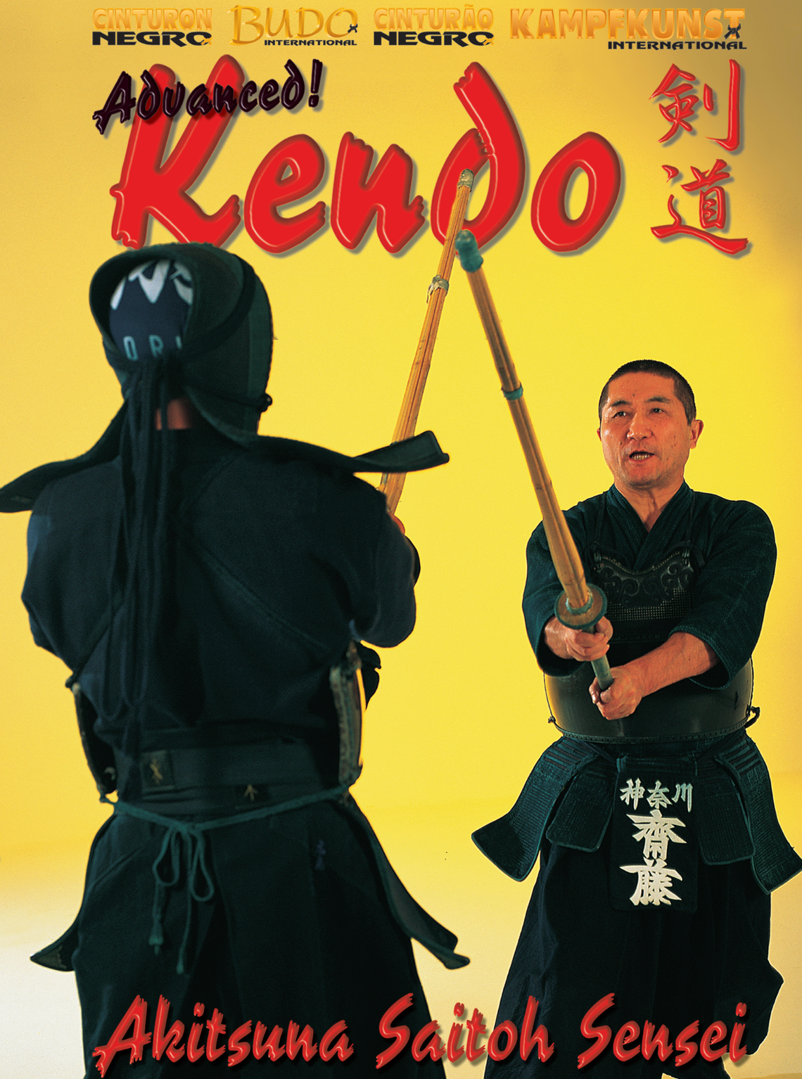 Advanced Kendo DVD by Akitsuna Saito