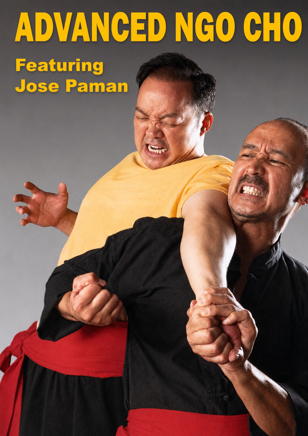 DVD avanzado de Ngo Cho con José Paman