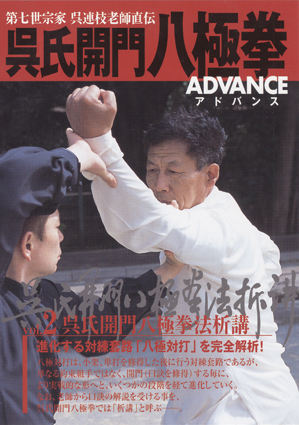 Advanced Wu Family Kaimen Bajiquan DVD 2 by Wu Lianzhi