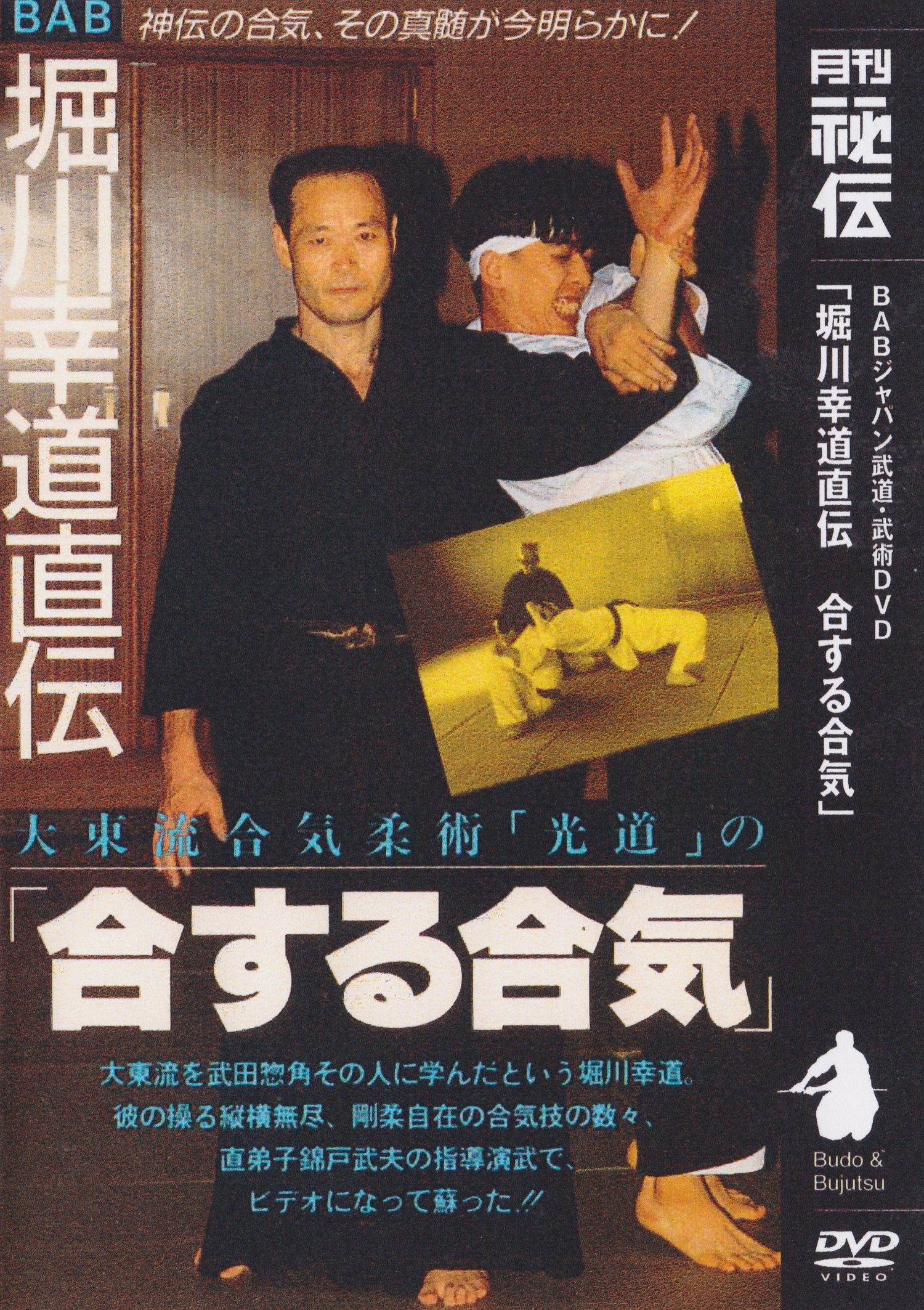 Ai Suru Aiki: Kodo Horikawa's Daito Ryu Aikijujutsu DVD by Takeo Nishikido