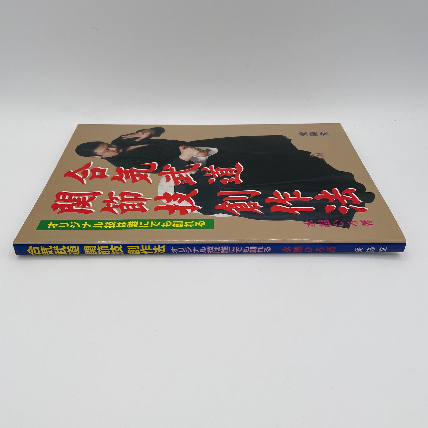 Aiki Budo Joint Lock Book by Hiro Mizukoshi (Preowned)