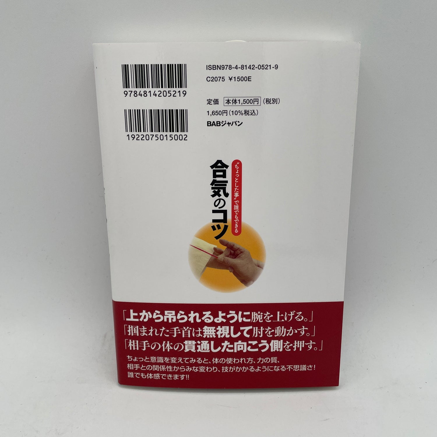 Aiki Techniques that Anyone can do Book by Yoshiji Yuzawa