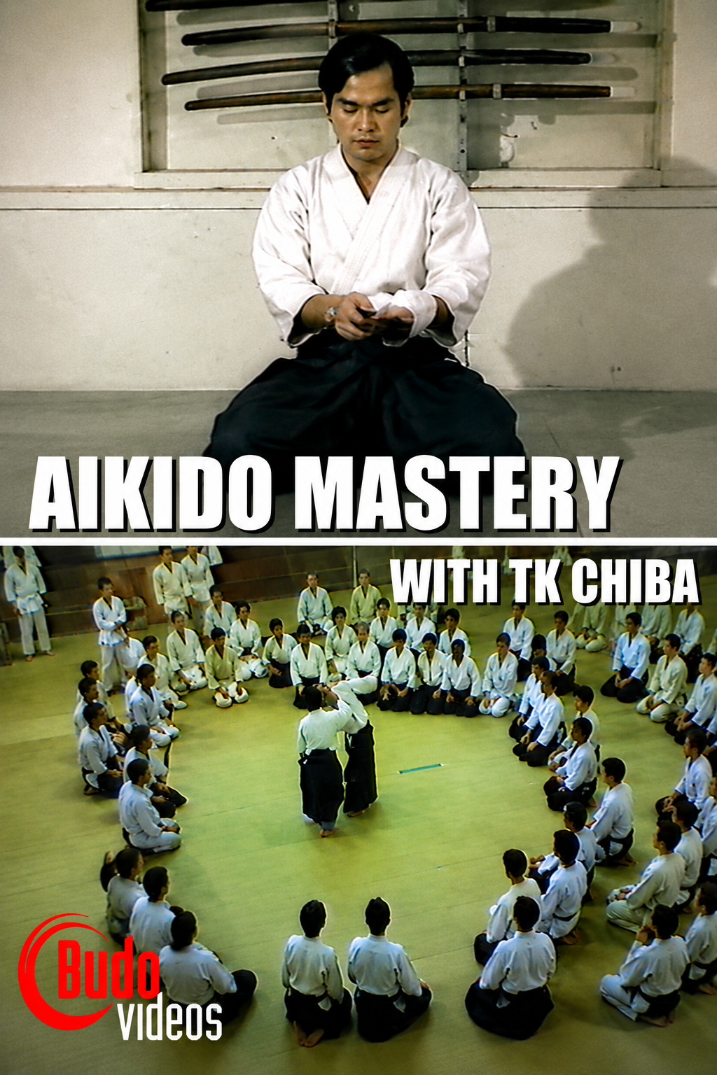 Aikido Mastery DVD with TK Chiba