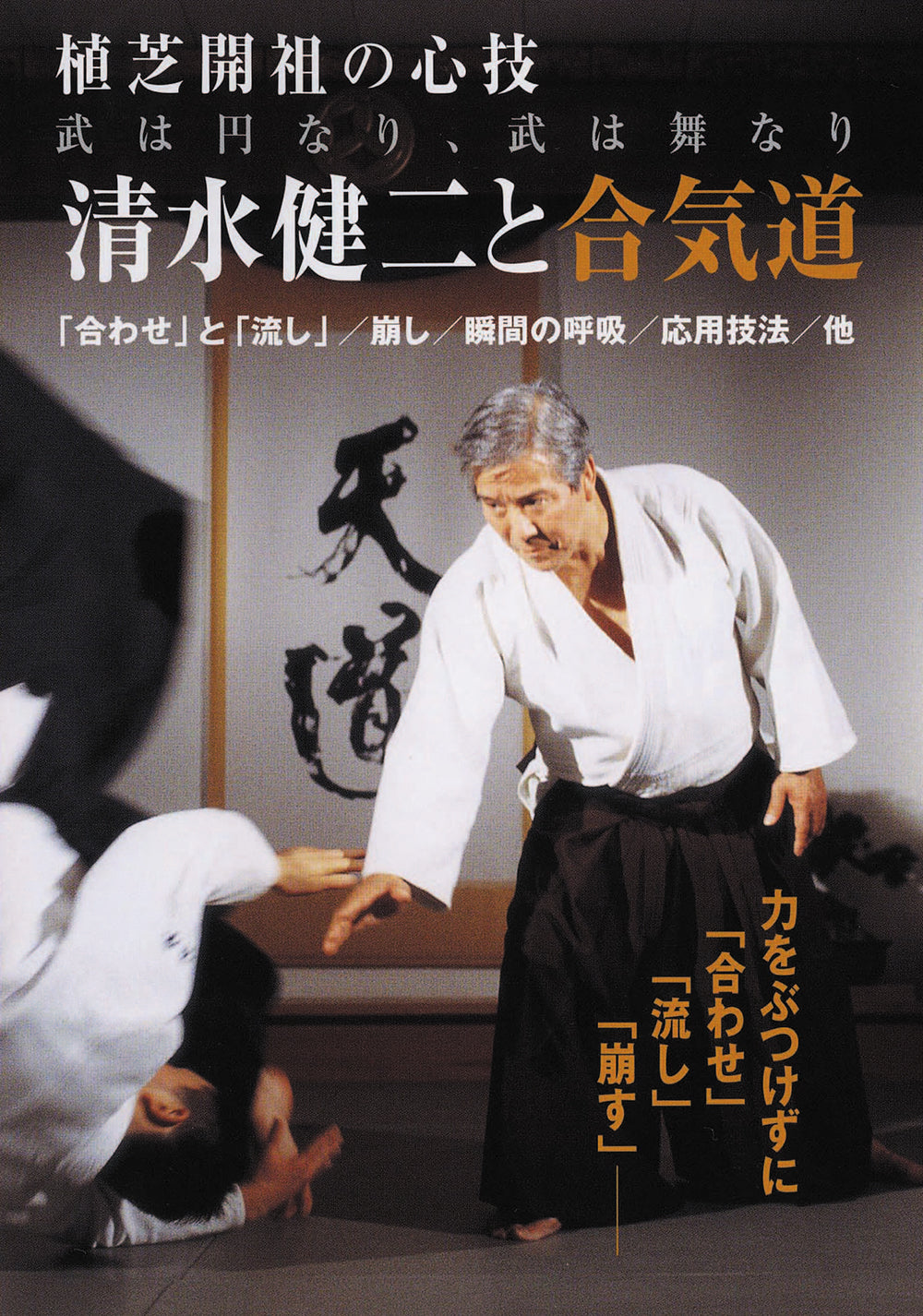 Aikido by Kenji Shimizu DVD