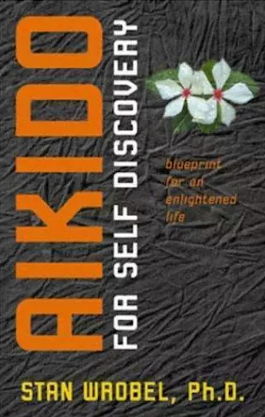 Aikido for Self Discovery: Blueprint for an Enlightened Life Book by Stan Wrobel (Preowned)