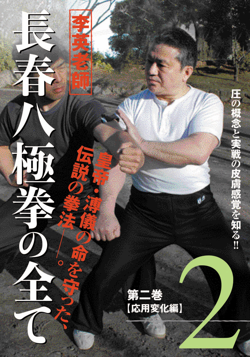 All About Chang Chun Bajiquan DVD 2 by Li Ying