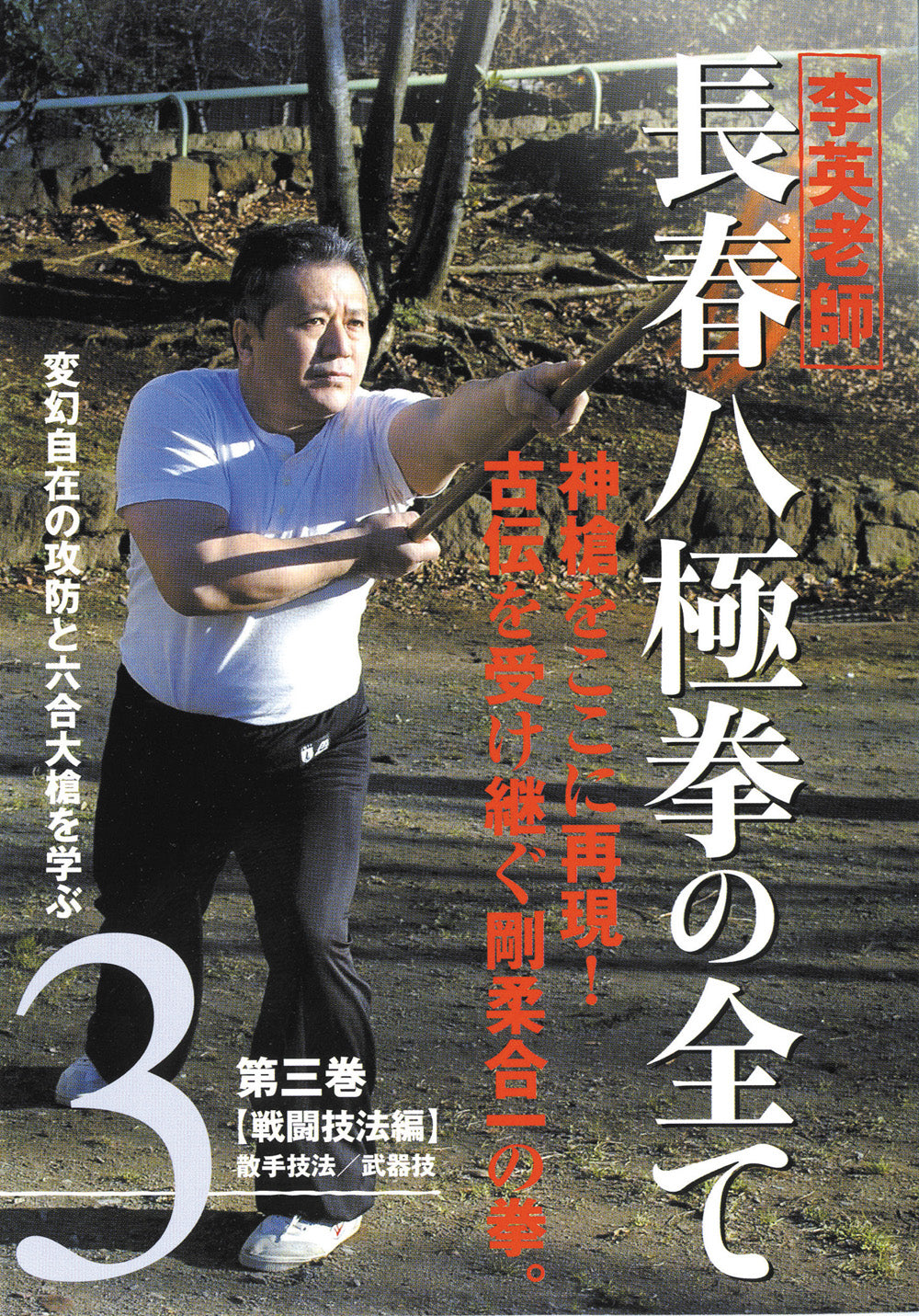 All About Chang Chun Bajiquan DVD 3 by Li Ying