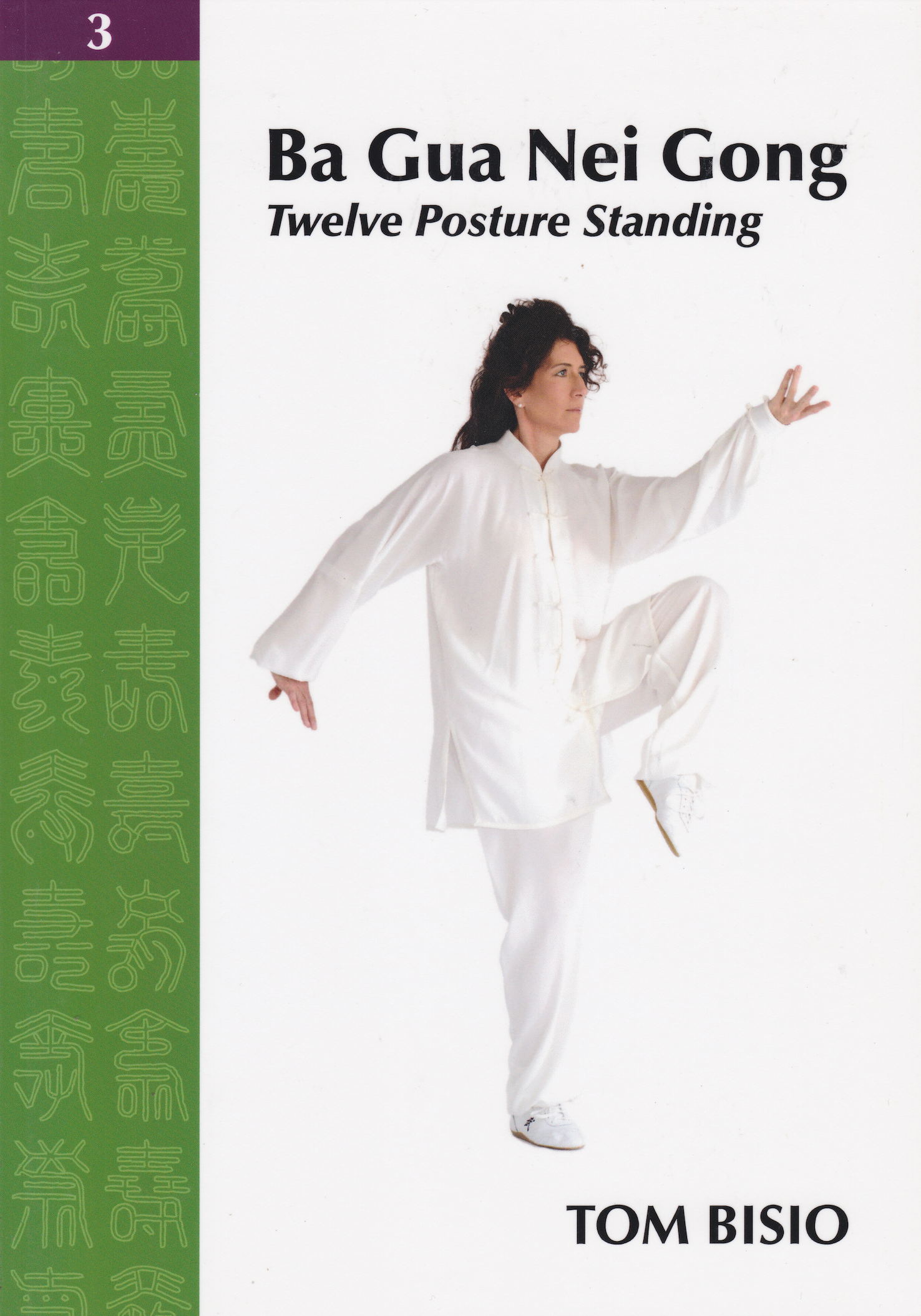 Ba Gua Nei Gong Vol 3: Twelve Posture Standing Book by Tom Bisio