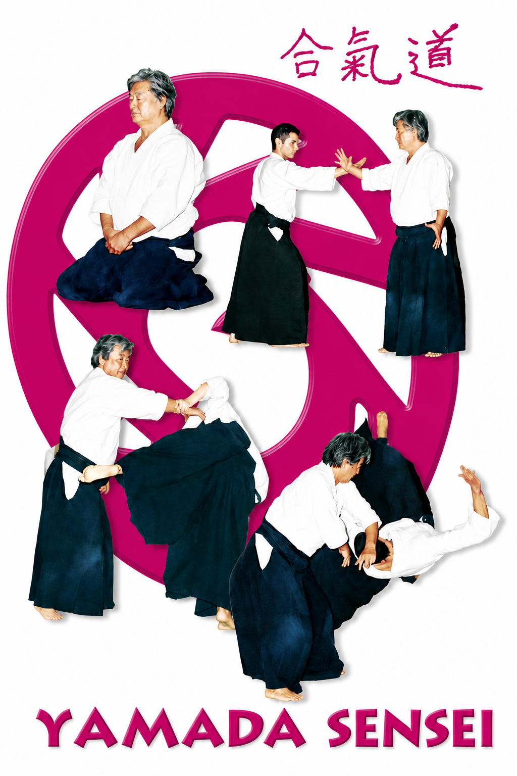 Barcelona Aikido Seminar DVD with Yoshimitsu Yamada